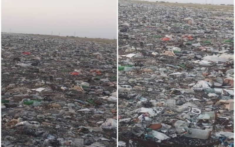 فاجعه زیست‌محیطی در تنگستان: انباشت زباله، سلامت مردم و طبیعت را تهدید می‌کند