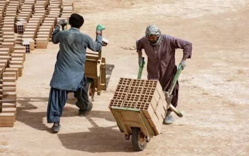 هشدار به کارفرمایان تنگستان استخدام اتباع بدون مجوز ممنوع