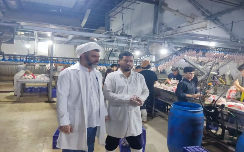 نظارت شرعی بر کشتارگاه‌های دام و طیور استان بوشهر؛ گامی مؤثر در تضمین حلیت و سلامت سفره غذایی مردم
