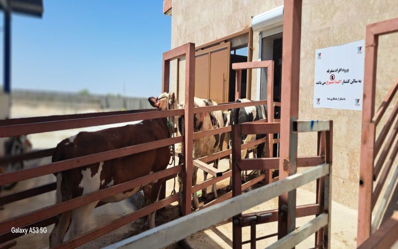 تور رسانه ای جهاد کشاورزی در گرمترین استان کشور: وعده ای به نام امنیت غذایی با پشتوانه سردخانه ۱۲۰۰ تنی