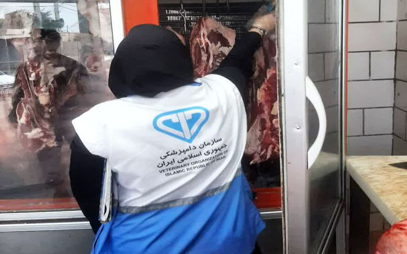 پایان طرح پنج‌ماهه تشدید نظارت بهداشتی و شرعی دامپزشکی در بوشهر