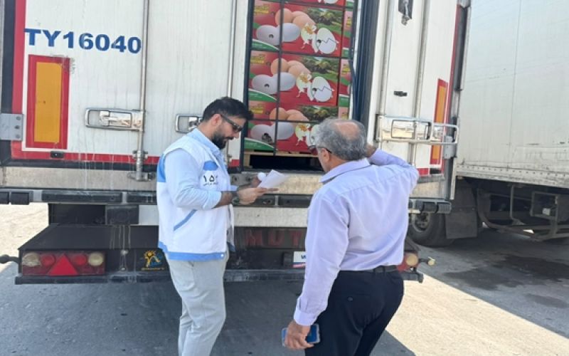نظارت بهداشتی بر صادرات بیش از 300 تن تخم‌مرغ خوراکی از بندر دیر به قطر