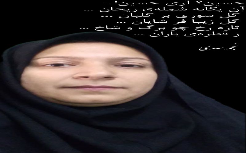 زیبا سروده های شوره زار اشک و عطر سوسن و نسترن اثر سیده نجمه سعدی