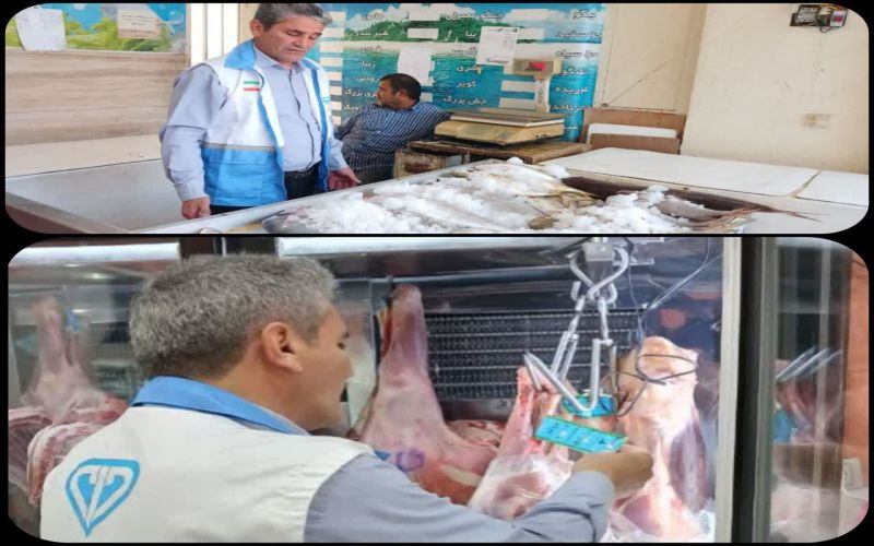 پایان طرح تشدید نظارت بهداشتی و شرعی دامپزشکی در شهرستان جم
