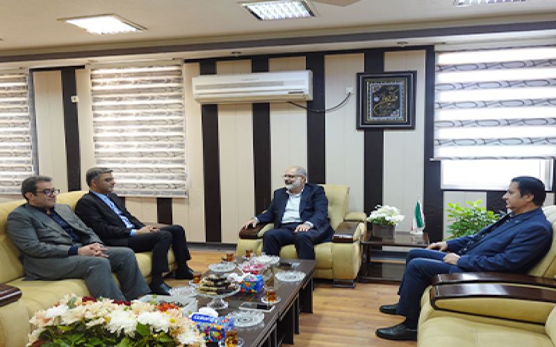 رئیس دانشگاه علوم پزشکی بوشهر در دیدار با بازرس کل استان گفت: نظام ارجاع موجب کاهش مراجعه غیرضروری به بیمارستانها، مراکز درمانی و توزیع عادلانه خدمات میشود.