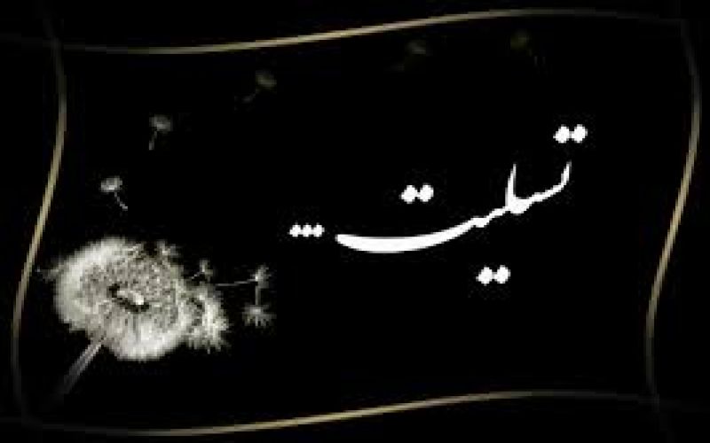 پیام تسلیت مدیرکل تعاون، کار و رفاه اجتماعی استان بوشهر در پی حادثه تلخ اسکله متانول دیر و جان‌باختن چند تن از کارگران شریف