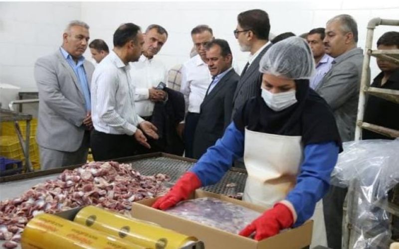 حضور احمد دشتی فرماندار دشتستان در جشنواره بازیهای بومی و محلی روستای نظرآقا به مناسبت گرامیداشت هفته دولت