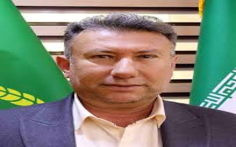 دریافت 3هزار و ۲۰۰میلیون ریال از اراضی واگذار شده در دشتی