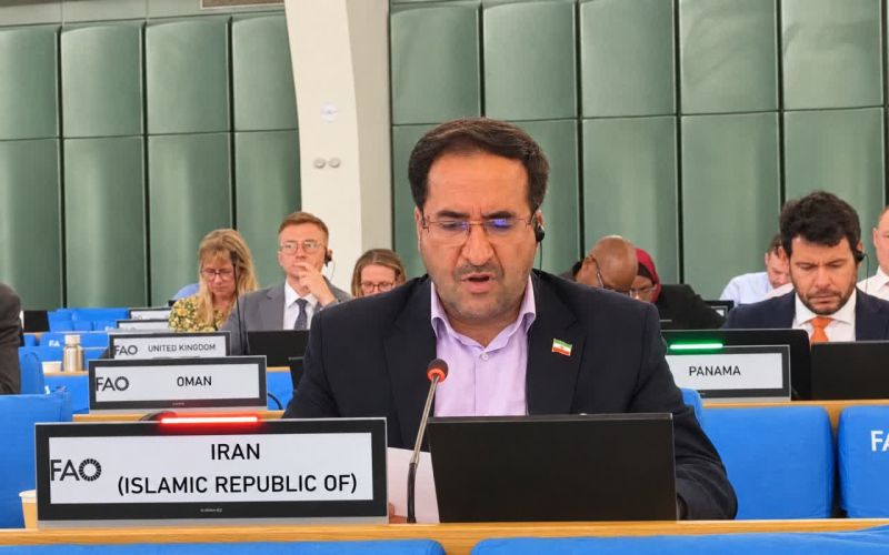 تأکید ایران بر تقویت تابآوری جنگلهای مناطق خشک