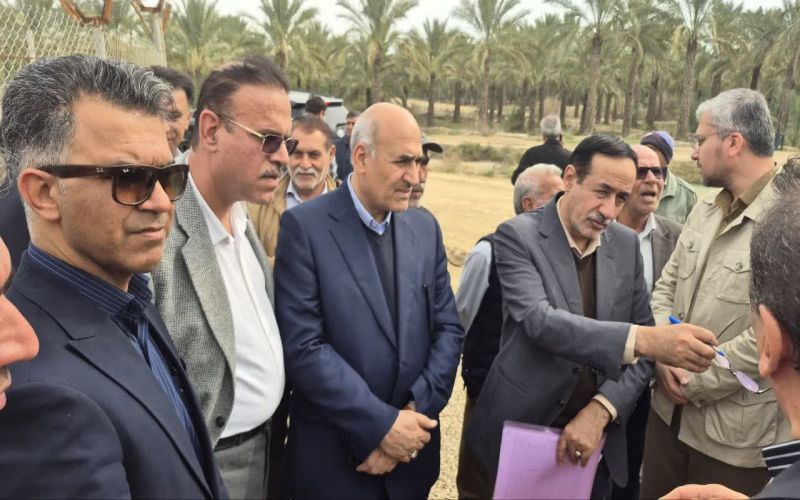 معاون وزیرجهاد: شبکه آبیاری دشتستان اولویت‌دارترین پروژه آب و خاک کشور