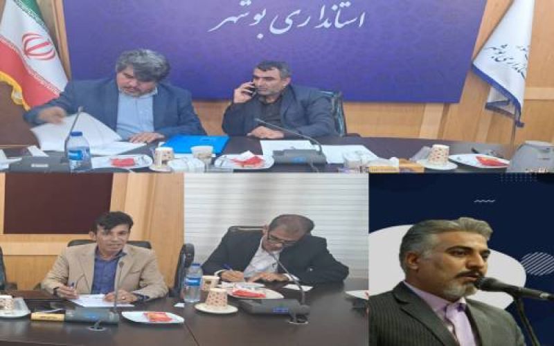 برگزاری انتخابات خانه احزاب استان بوشهر با مشارکت سه جریان سیاسی رقم خورد