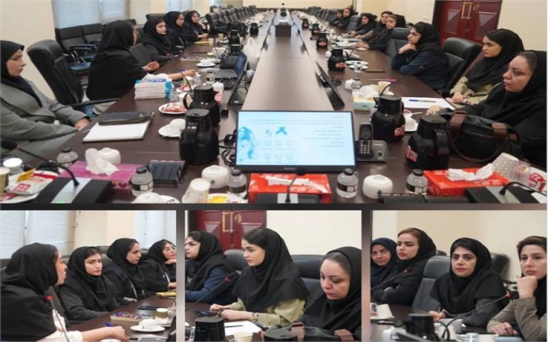 برگزاری برنامه‌های هفته سلامت بانوان در بندر بوشهر